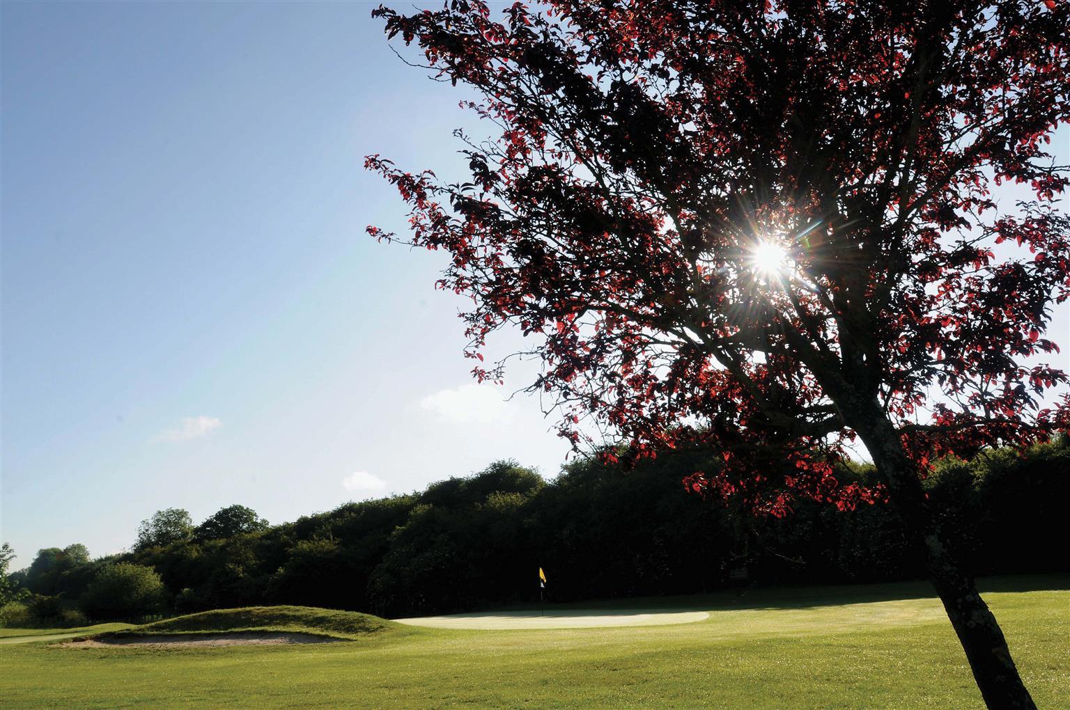 Best Western Plus Ullesthorpe Court Hotel & Golf Club Lutterworth Facilidades foto